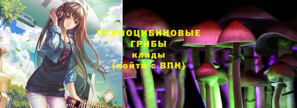 стаф Белокуриха