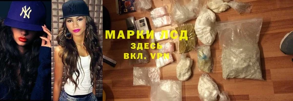стаф Белокуриха