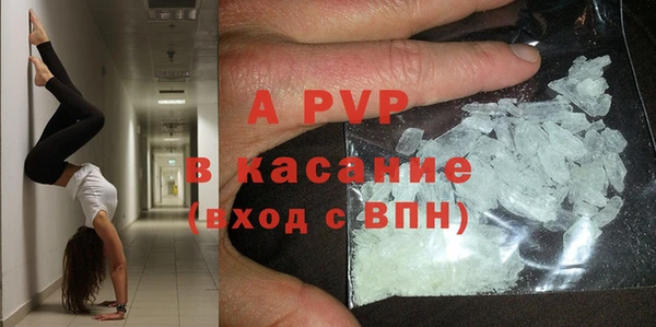стаф Белокуриха