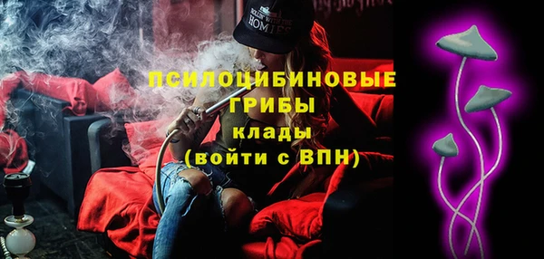 стаф Белокуриха